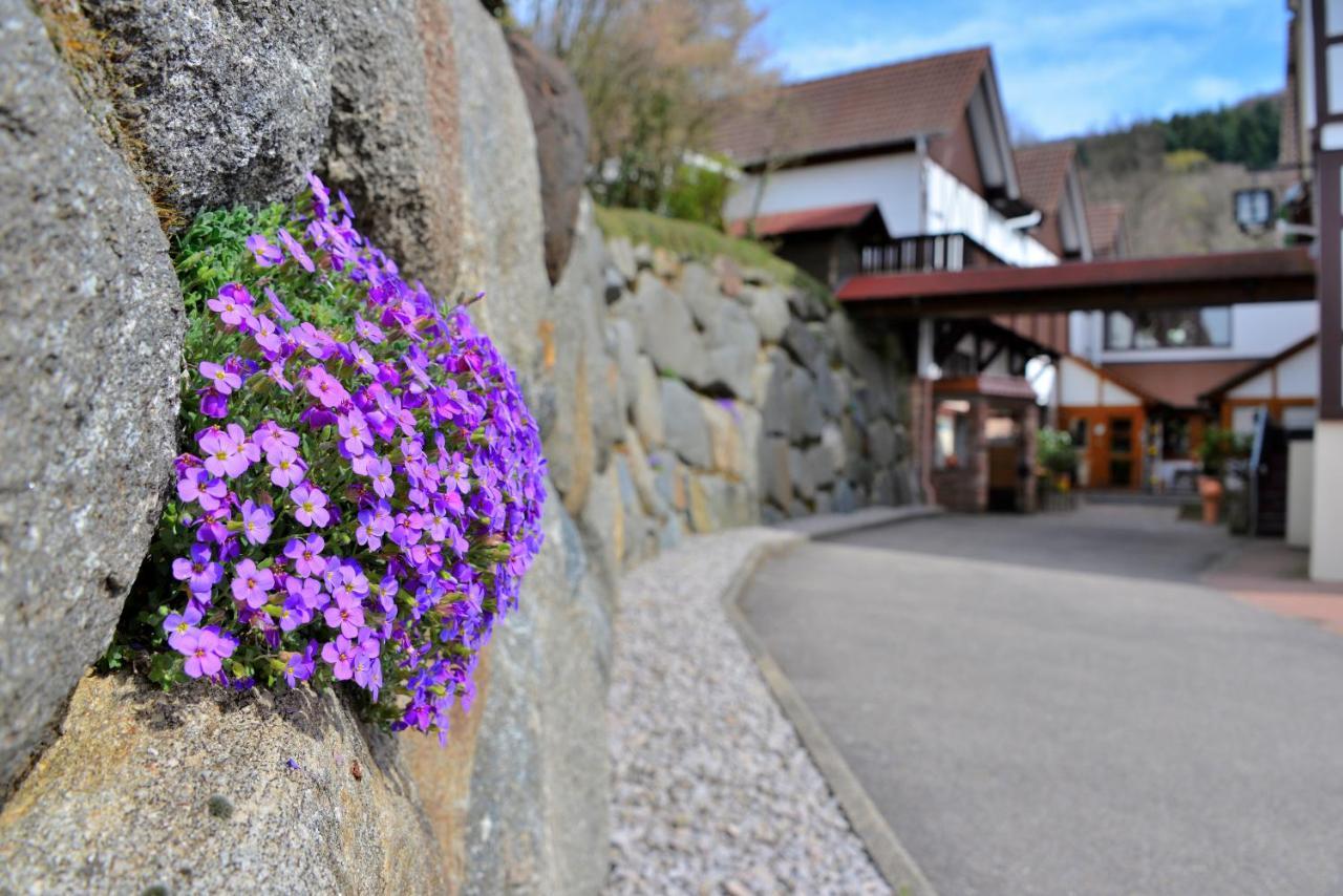 Relaxhotel Tannenhof ซัสบาควัลเดิน ภายนอก รูปภาพ