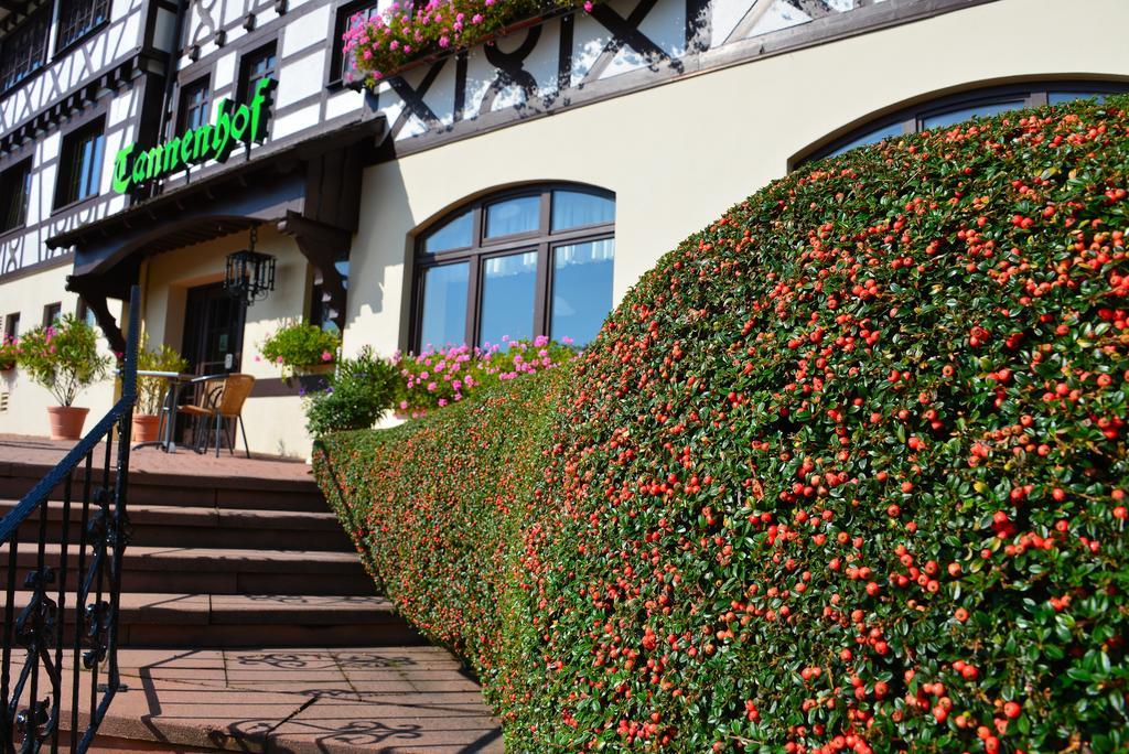 Relaxhotel Tannenhof ซัสบาควัลเดิน ภายนอก รูปภาพ